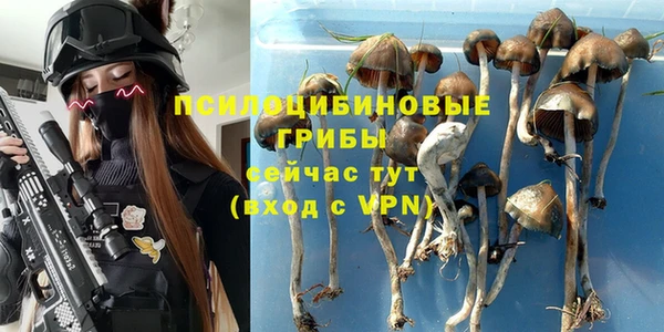 круглые Няндома