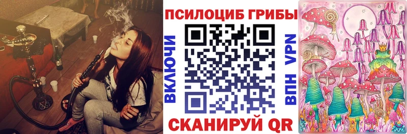 Псилоцибиновые грибы GOLDEN TEACHER  Новодвинск 